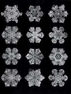 A black and white print of twelve snowflakes in great detail.
