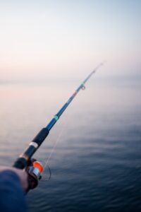 An image of a fishing rod playing on the term phishing. 