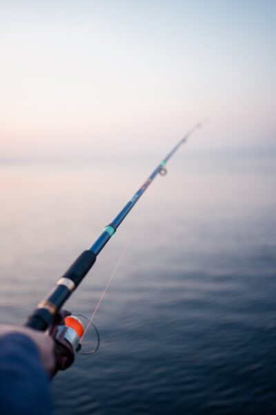 A picture of a fishing rod against the background of water.