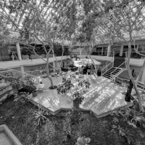 IP education is important.