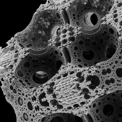 A three-dimensional fractal that looks like a robot's skull. Law is often said to be fractal in nature. There are rules and exceptions and exceptions to the exceptions.