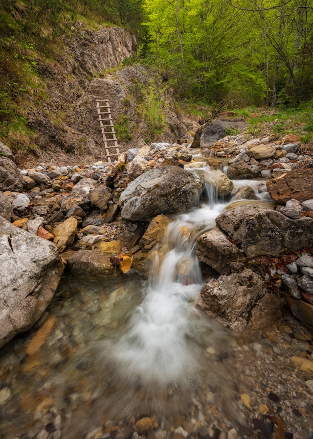 A steam with a steep bank and a ladder leaning against the bank. 