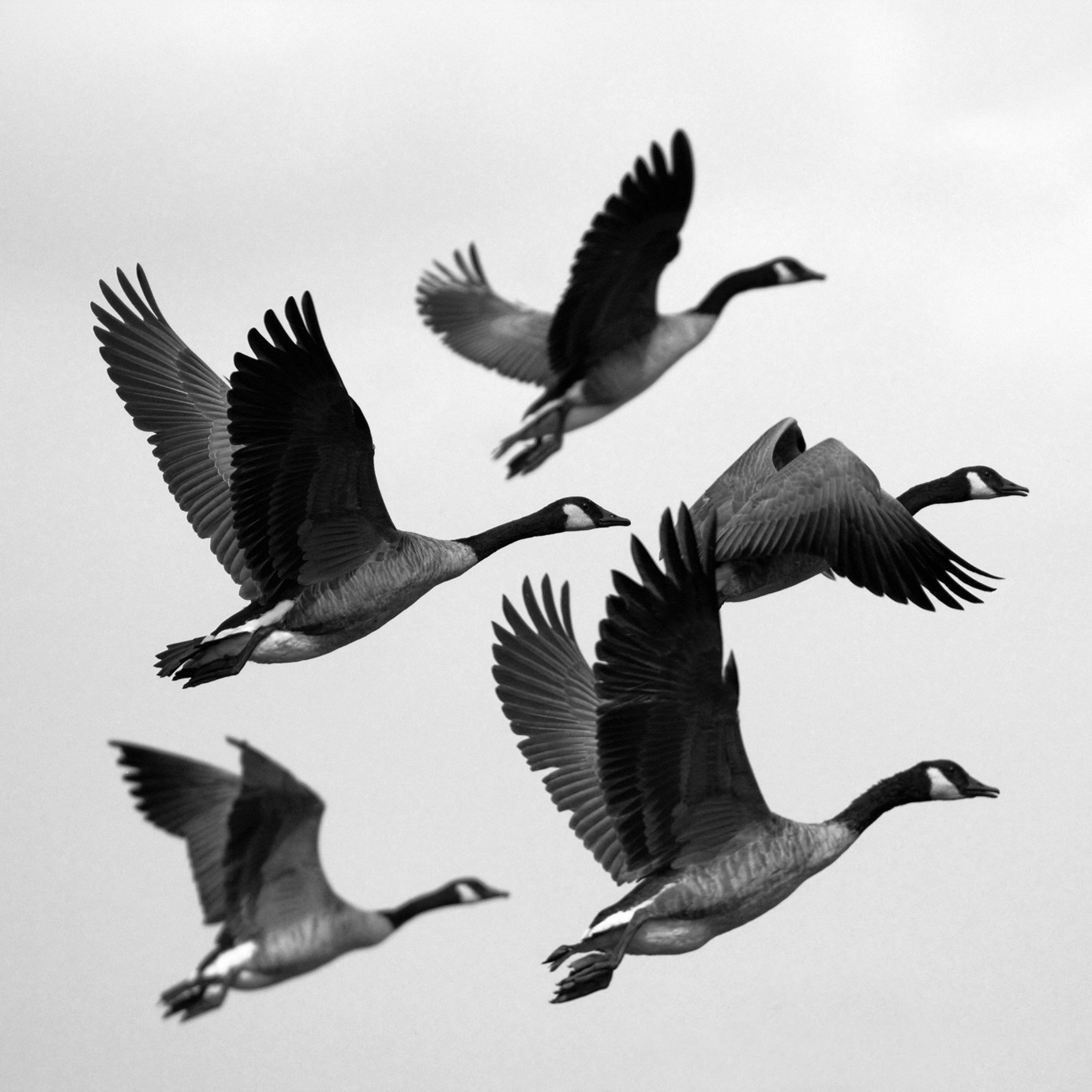 CanExport Associations can help with your export strategy.