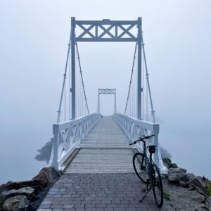 What the future holds is unclear. However, CIPO has a business strategy.